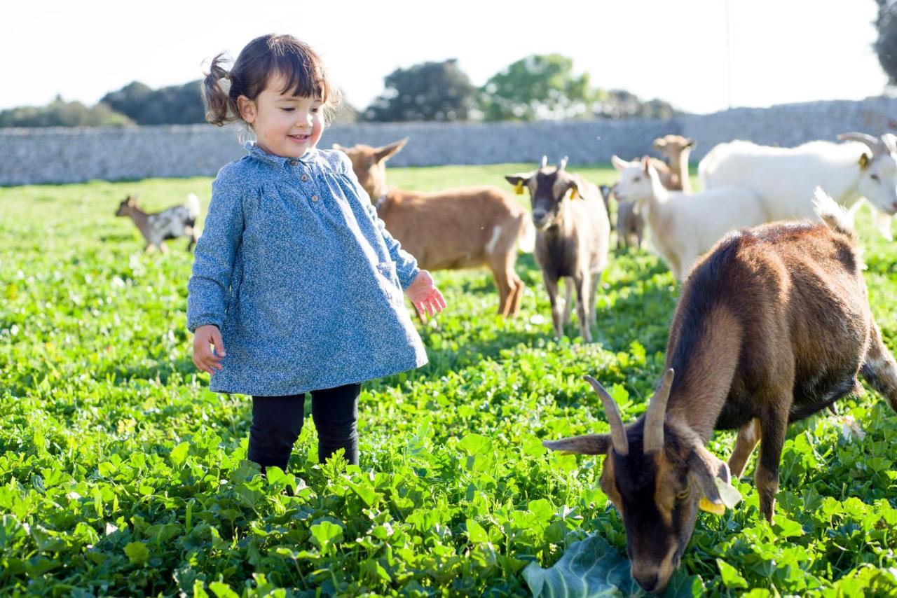 Llucmacanes Gran Agroturismo Mahón Zewnętrze zdjęcie