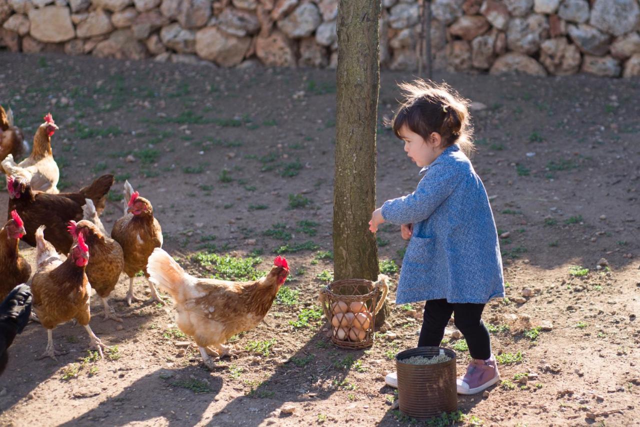 Llucmacanes Gran Agroturismo Mahón Zewnętrze zdjęcie