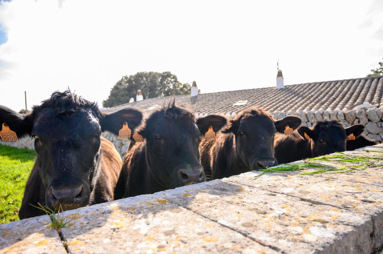 Llucmacanes Gran Agroturismo Mahón Zewnętrze zdjęcie