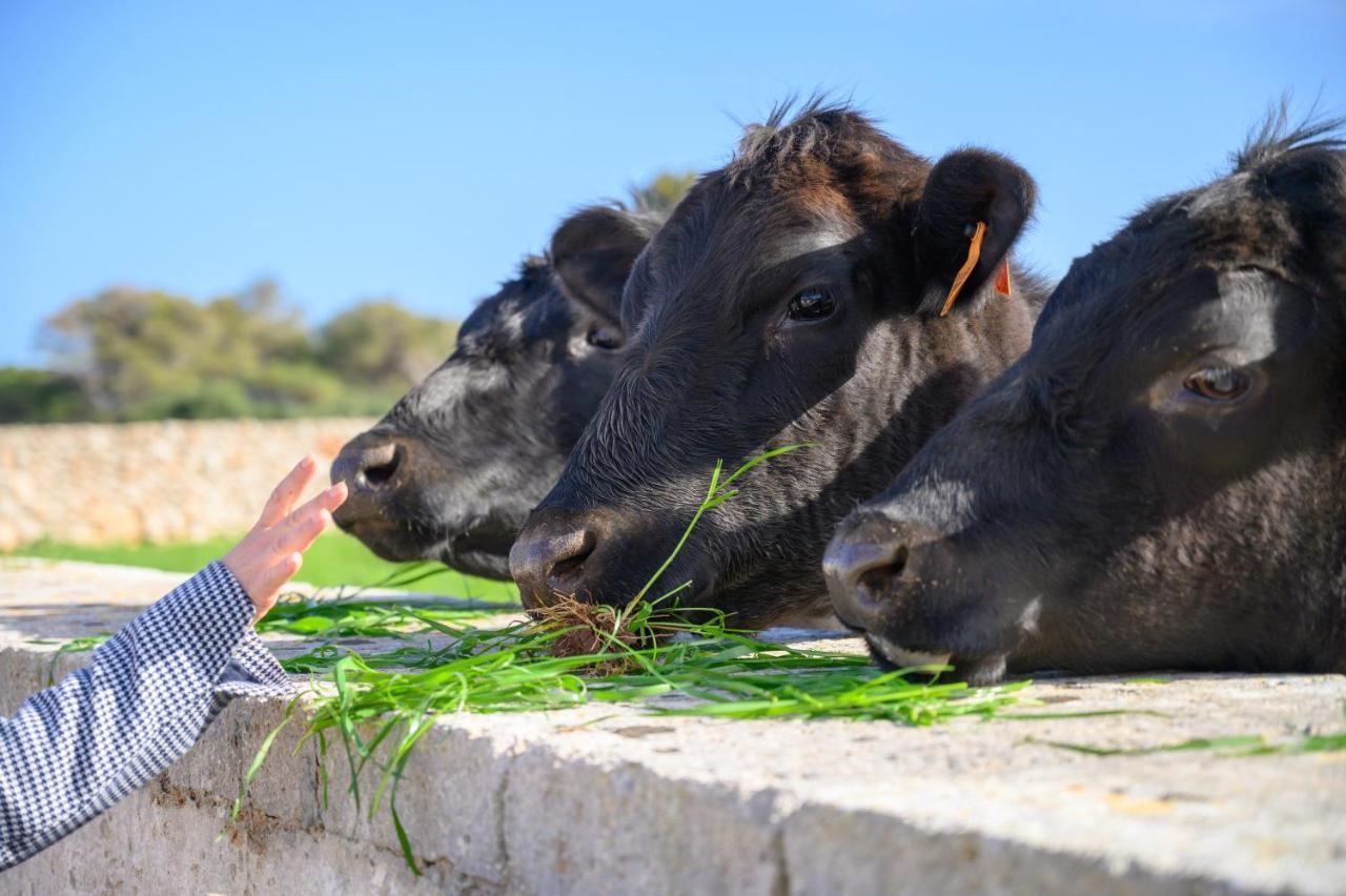 Llucmacanes Gran Agroturismo Mahón Zewnętrze zdjęcie